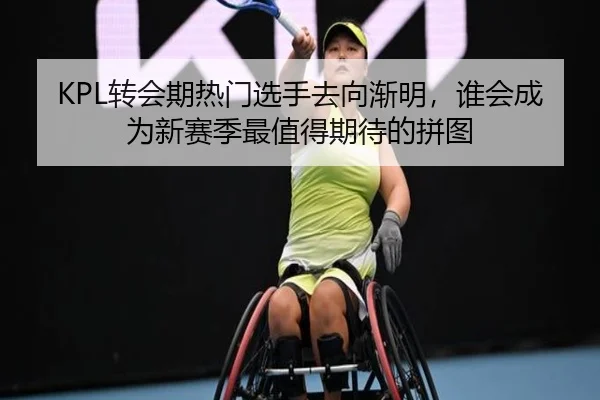 KPL转会期热门选手去向渐明，谁会成为新赛季最值得期待的拼图